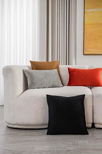 Decorative Pillow Covers 18x18: 2 Pack Cozy Soft 18" x 18" (Pack of 2) Black