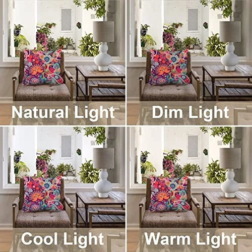 Bright Paisley Decorative Pillow 16" x 16" (Pack of 2) Ethnic Paisley 1 Multi a