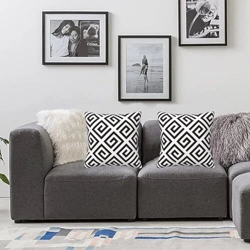 Pillow Covers 18x18 in 18" x 18" (Pack of 2) Modern Abstract Black and White