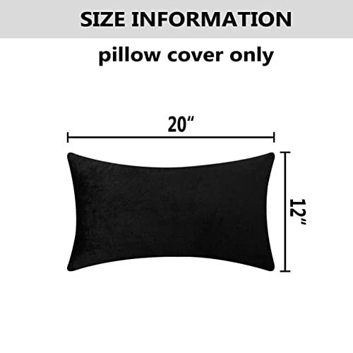 Rectangle Pillow Covers 12 x 20 inch Decorative 20" x 12" (Pack of 2) Black