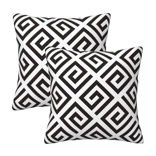 Pillow Covers 18x18 in 18" x 18" (Pack of 2) Modern Abstract Black and White